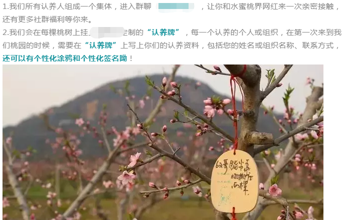 这个冷门的蓝海项目,就算不吃肉只喝汤也能年入50万+,现在知道还不晚! 业界杂谈 第3张 这个冷门的蓝海项目,就算不吃肉只喝汤也能年入50万+,现在知道还不晚! 这个冷门的蓝海项目,就算不吃肉只喝汤也能年入50万+,现在知道还不晚! 业界杂谈 第3张