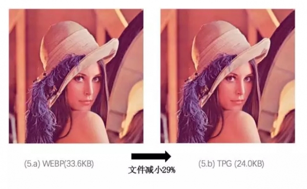 tpg是什么意思 tpg是什么格式 业界杂谈 第7张 tpg是什么意思 tpg是什么格式 tpg是什么意思 tpg是什么格式 业界杂谈 第7张