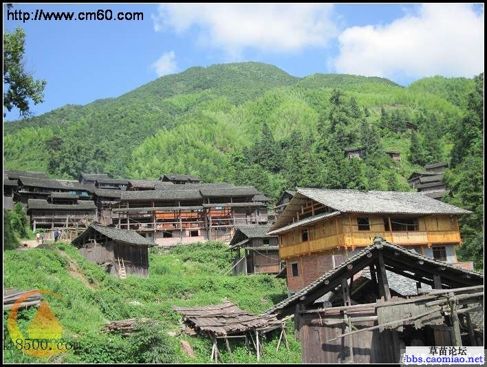 我说不出 业界杂谈 第1张 我说不出 业界杂谈 第1张