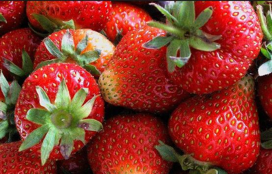  摘草莓的季节是几月份，几月可以摘草莓？ 互联百科 第2张