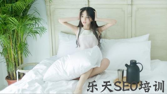 六安网站优化：网站降权，你了解过吗？阻碍正常网站SEO优化的大杀器！