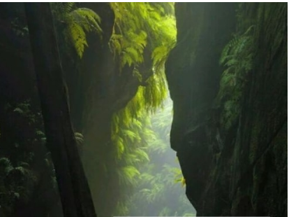 理理相册app中优化相册的具体流程介绍 互联百科 第2张 理理相册app中优化相册的具体流程介绍 理理相册app中优化相册的具体流程介绍 互联百科 第2张