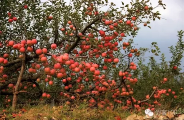 这6个创业点子太奇葩了,最后一个简直不忍直视 业界杂谈 第5张 这6个创业点子太奇葩了,最后一个简直不忍直视 业界杂谈 第5张
