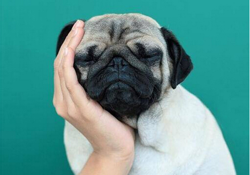 网络营销营销文案怎么写才能引爆用户传播？