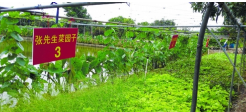 这个冷门的蓝海项目,就算不吃肉只喝汤也能年入50万+,现在知道还不晚! 业界杂谈 第2张 这个冷门的蓝海项目,就算不吃肉只喝汤也能年入50万+,现在知道还不晚! 这个冷门的蓝海项目,就算不吃肉只喝汤也能年入50万+,现在知道还不晚! 业界杂谈 第2张