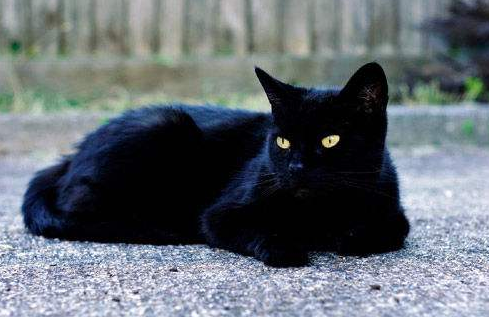 浅谈黑帽seo301劫持技术提升网站权重