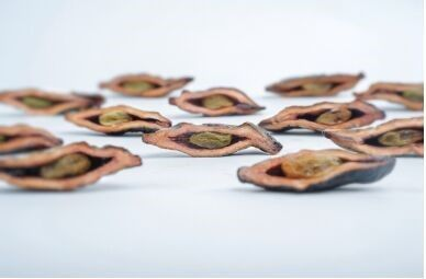 关于槟榔的危害如何全面认识