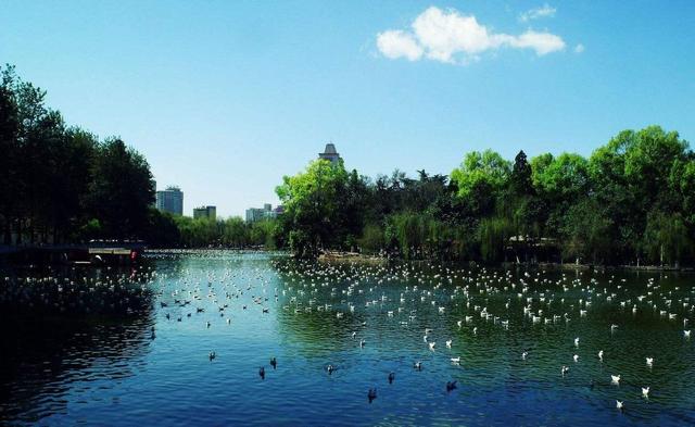 春城是哪个城市?这三个城市你更喜欢哪里呢 互联百科 第7张 春城是哪个城市?这三个城市你更喜欢哪里呢 互联百科 第7张