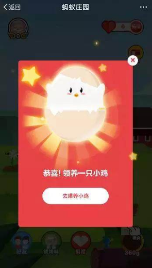 支付宝养鸡有什么好处 支付宝养鸡在哪里 互联百科 第4张 支付宝养鸡有什么好处 支付宝养鸡在哪里 互联百科 第4张