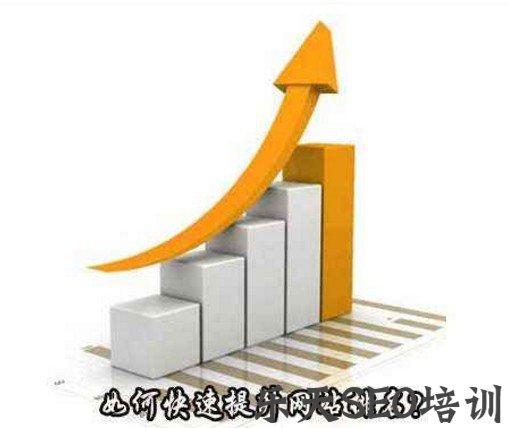 SEO李守洪排名大师详细解读快速排名原理