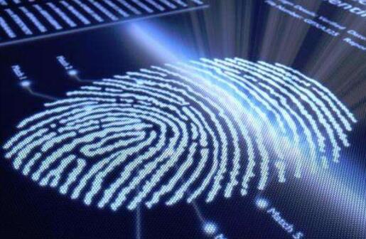 SEO网络培训：识别原创文章SEO数字指纹到底是什么？