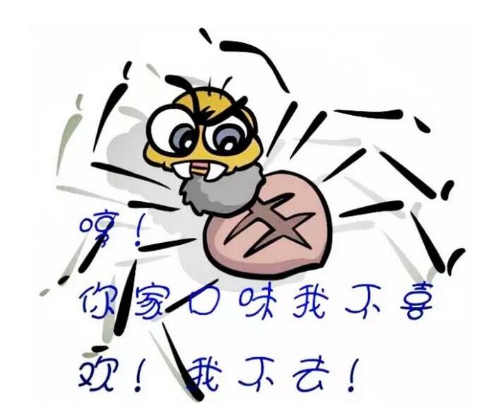 《百中seo》搜索引擎Spider的工作原理