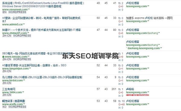 SEO干货：深度解读什么是高权重外链！ SEO推广 第6张