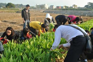 北大毕业到珠海创业社区支持农业(CSA)项目