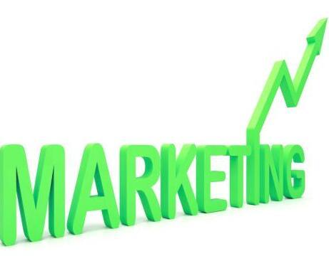  苏宁电器市场营销策略 网络营销