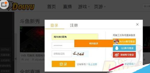 斗鱼直播找回密码的详细操作步骤 互联百科 第2张 斗鱼直播找回密码的详细操作步骤 斗鱼直播找回密码的详细操作步骤 互联百科 第2张