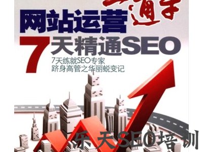 新手SEO入门必备的10本SEO书籍