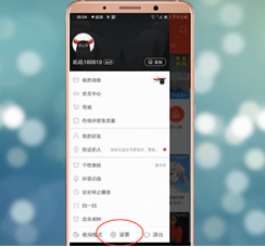 网易云音乐中设置网络的具体操作流程介绍 网易云音乐中设置网络的具体操作流程 业界杂谈 第2张