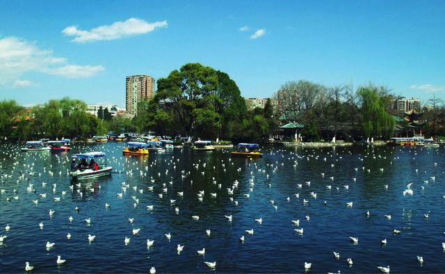 春城是哪个城市?这三个城市你更喜欢哪里呢 互联百科 第2张 春城是哪个城市?这三个城市你更喜欢哪里呢 互联百科 第2张