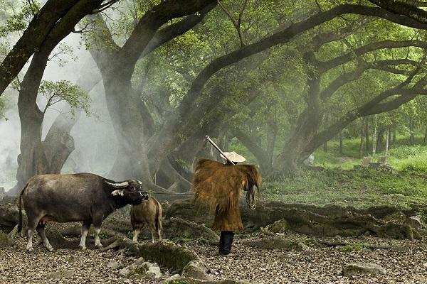  注意了，分清营销思维之农耕和打猎，成功几率差90% 网络营销 第2张