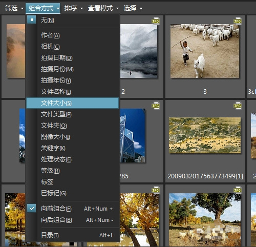 ACDSee关闭鼠标经过时弹出的预览图教程 互联百科 第6张 ACDSee关闭鼠标经过时弹出的预览图教程 互联百科 第6张