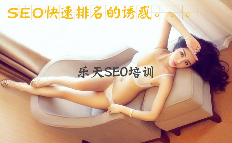 SEO快排软件设置的注意事项（如何用软件做关键词快速排名）