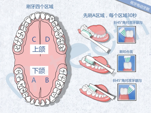 电动牙刷如何使用?电动牙刷的正确使用方法图解 业界杂谈 第5张 电动牙刷如何使用?电动牙刷的正确使用方法图解 业界杂谈 第5张