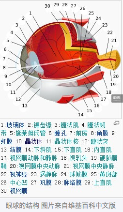 也许VR永远都不会成功?看看这位美国专家怎么说 业界新闻 第2张 也许VR永远都不会成功?看看这位美国专家怎么说 业界新闻 第2张