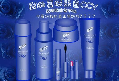 化妆品营销策划书_化妆品网络营销方案