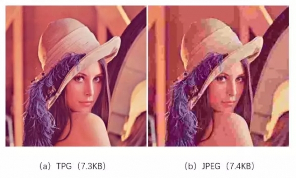 tpg是什么意思 tpg是什么格式 业界杂谈 第8张 tpg是什么意思 tpg是什么格式 tpg是什么意思 tpg是什么格式 业界杂谈 第8张