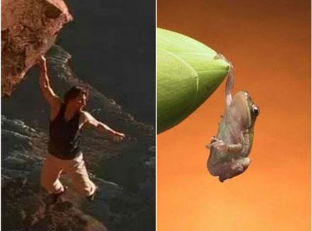 洋葱新闻:牛人自费百万整容成明星脸 只为见偶像一面!