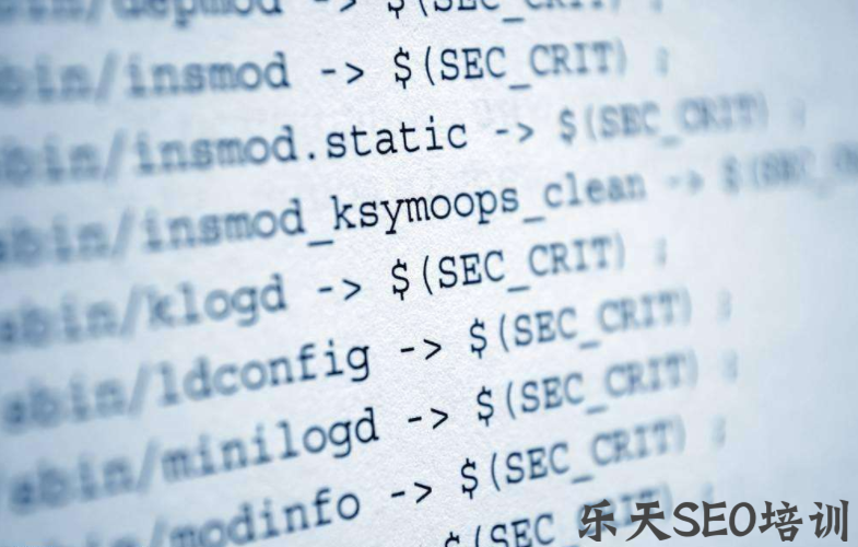 SEO808论坛：SEO懂技术，会写代码的用处有多大？