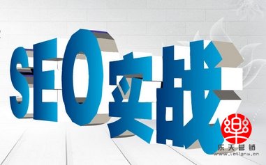 推广学院SEO培训精英实战教程（共12课）