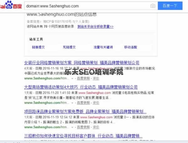 SEO实战干货：独家揭秘内页快速收录排名 SEO推广 第4张