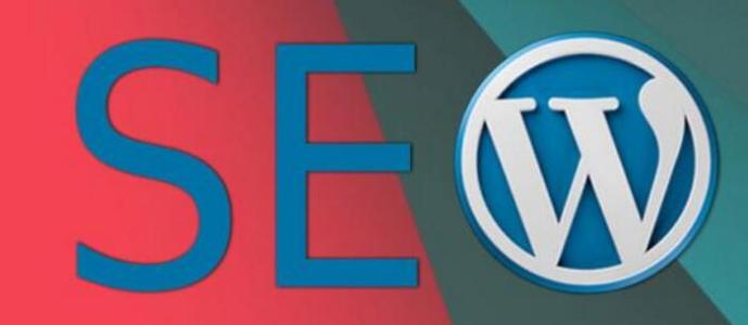 Spider抓取：网站如何看有没有被Spider抓取？