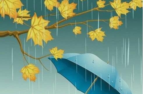 SEO学院：百度推出细雨算法，重点整顿黄页类网站