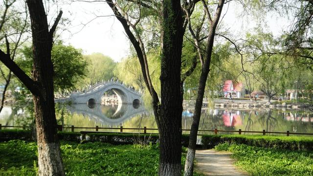 春城是哪个城市?这三个城市你更喜欢哪里呢 互联百科 第6张 春城是哪个城市?这三个城市你更喜欢哪里呢 互联百科 第6张