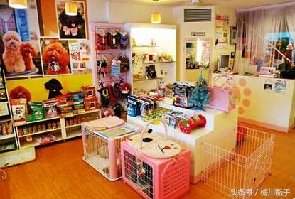 小投资赚钱项目有哪些?推荐五个适合年轻人的小投资项目(轻松月入5000) 互联百科 第3张 小投资赚钱项目有哪些?推荐五个适合年轻人的小投资项目(轻松月入5000) 互联百科 第3张