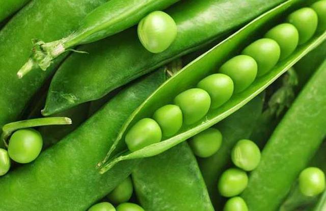 植物传播种子有哪些方法 四种常见方法介绍 植物传播种子的方法有哪些？四种常见方法介绍（带你科普知识） 互联百科 第4张