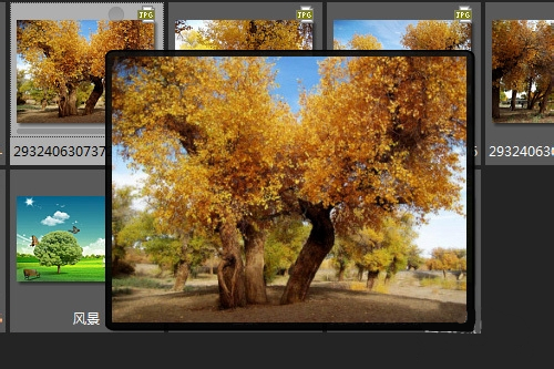 ACDSee关闭鼠标经过时弹出的预览图教程 互联百科 第2张 ACDSee关闭鼠标经过时弹出的预览图教程 互联百科 第2张