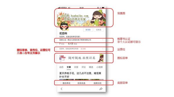 熊掌号认证指南,熊掌号如何认证及注意事项!